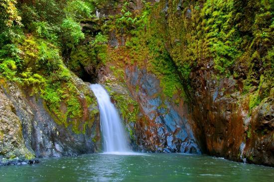 Réserve Naturelle de Fréderica